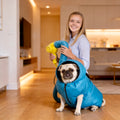 Pet Drying Box, Dryer, and Drying Bag